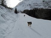 30 In compagnia dei loro cani